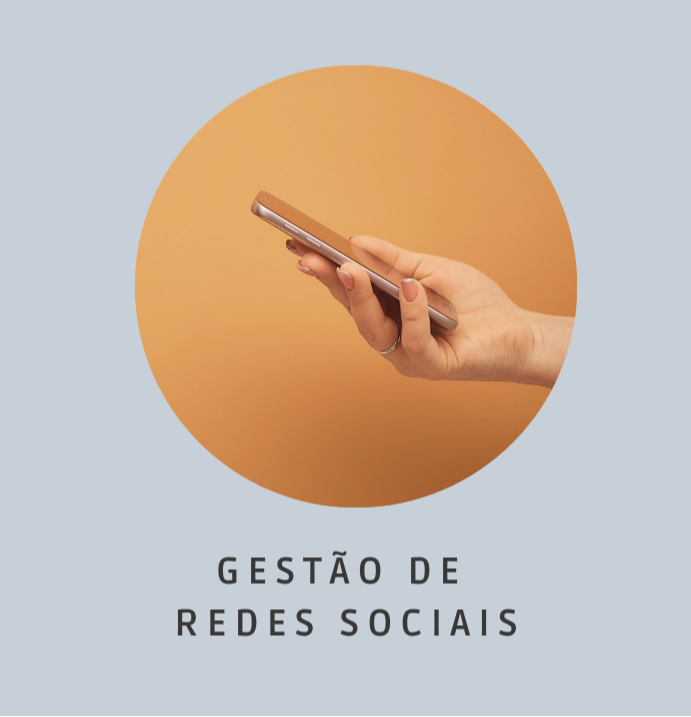 Gestão de Redes Sociais